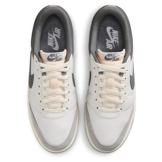 Nike Air Jordan Skyline Low LE